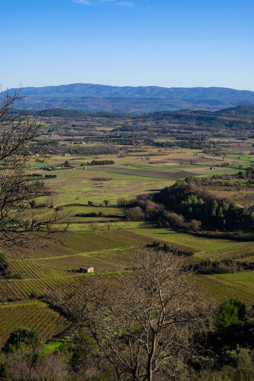 Paysage de la Provence et vignobles français